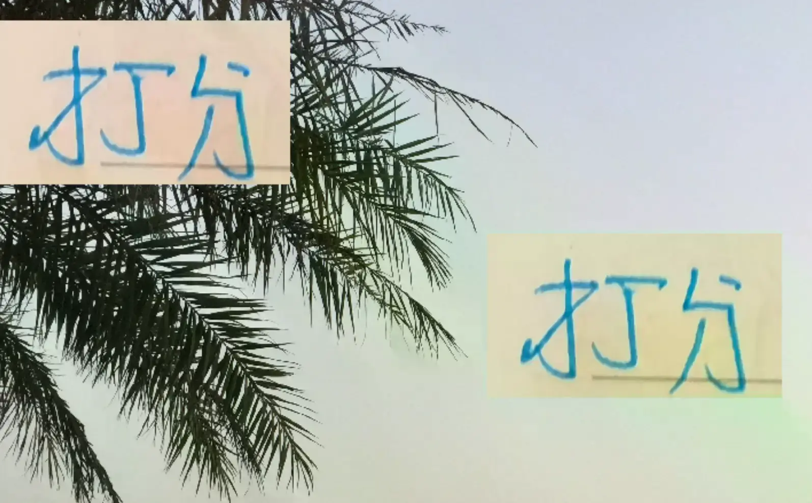 开云体育特别报道:满分是100分!你给申花6个外援打多少分