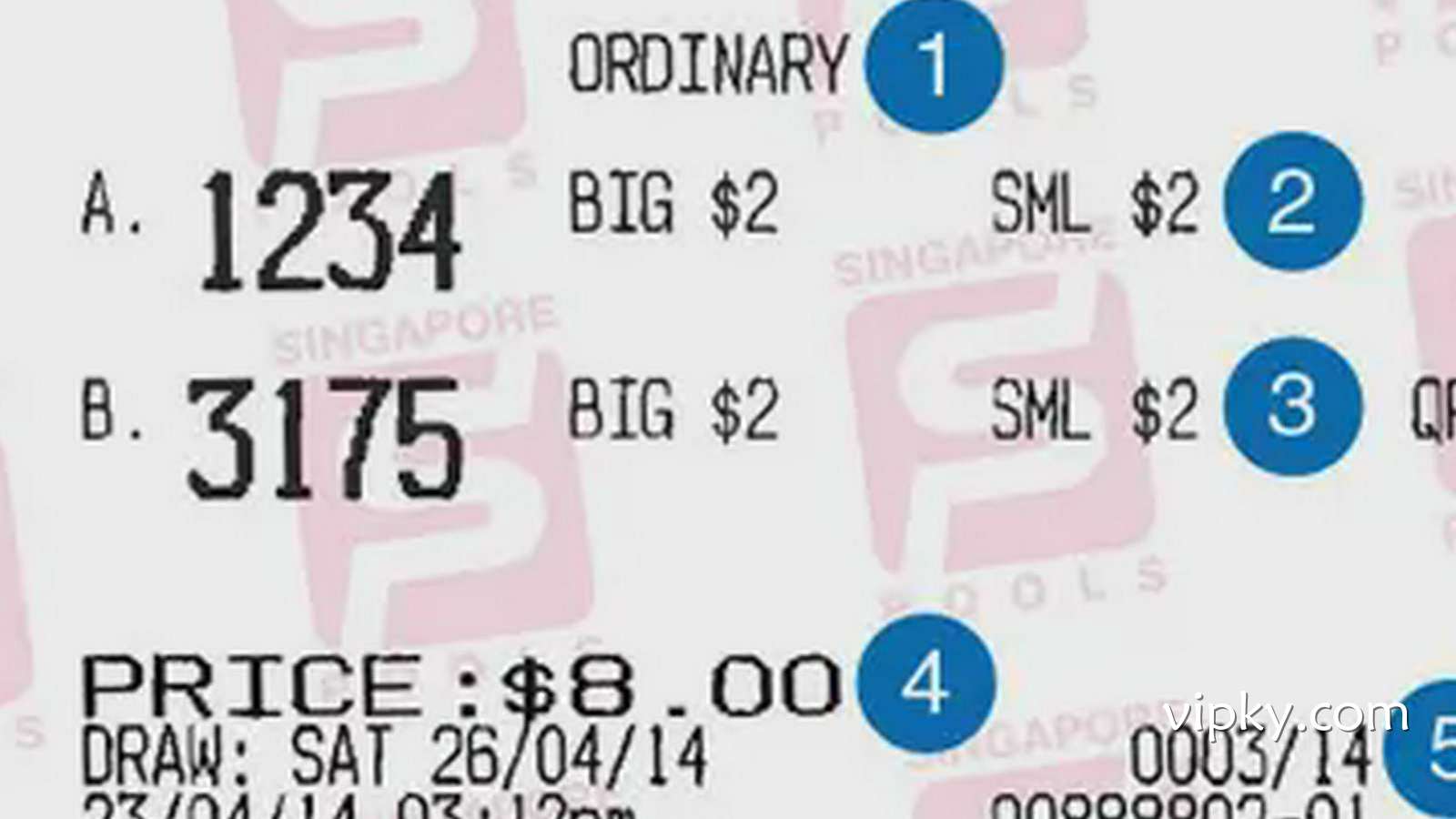 开云体育新加坡万字玩法深度揭秘: 探索数字世界的无限可能