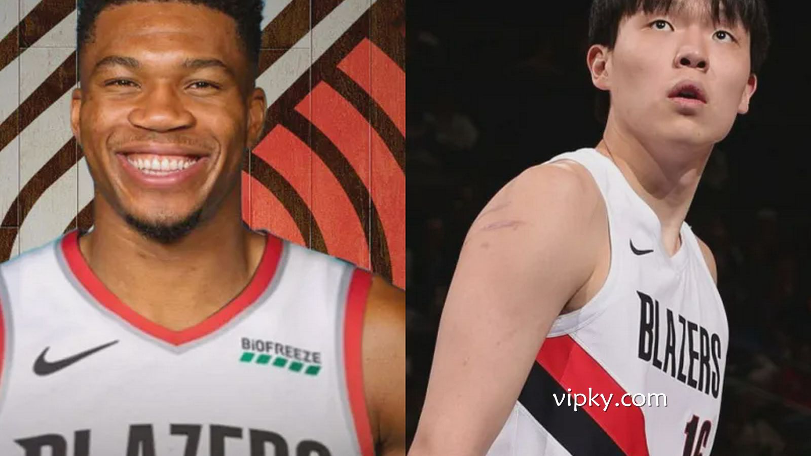 开云体育热点资讯 - 杨瀚森有望变字母哥队友？开拓者两大优势追超巨 克林根或成筹码